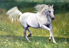 Алмазная картина (мозаика) "В пене морской"