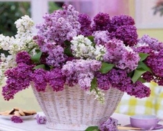 Алмазная картина (мозаика) "Нежная сирень"