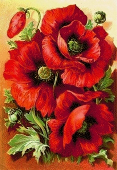 Алмазная картина (мозаика) "Маковый цвет"